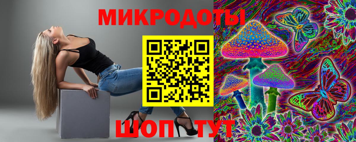 Галлюциногенные грибы Psilocybine cubensis Ярославль